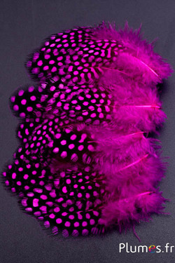 Pintade de Numidie - 3-6 cm - fuchsia